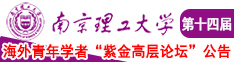要看三级片大鸡鸡南京理工大学第十四届海外青年学者紫金论坛诚邀海内外英才！